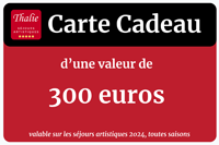 CARTE CADEAU 300 € SÉJOURS 2024